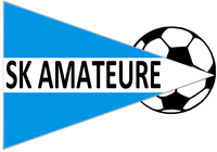 Amateure Steyr